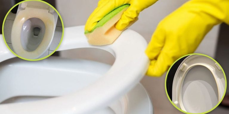 How to brighten a yellowed toilet seat: 3 very simple tricks