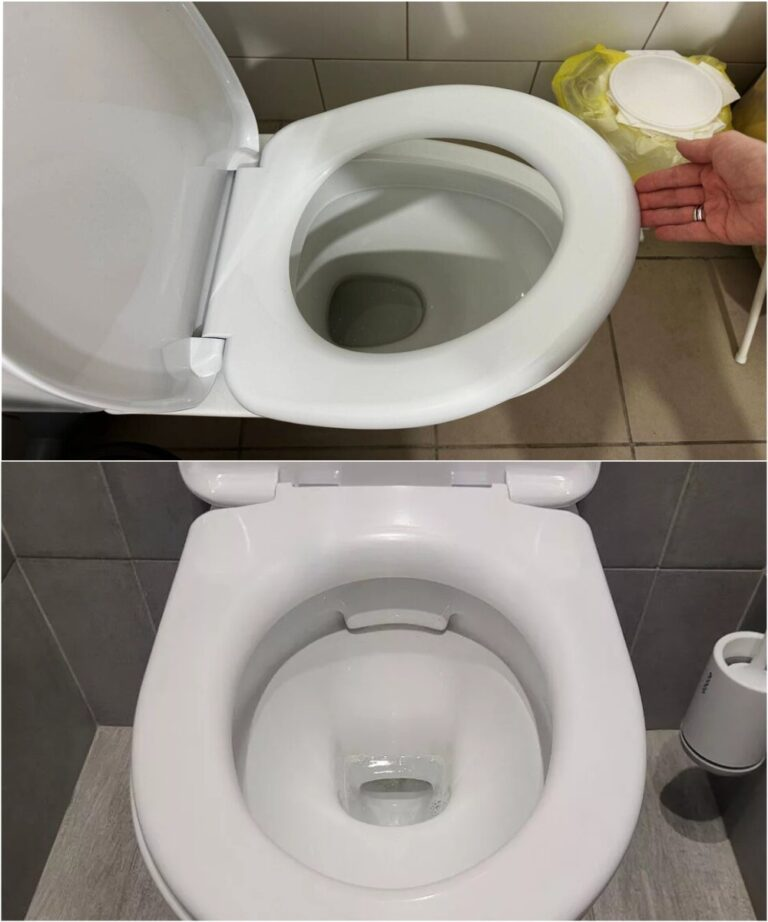 My daughter-in-law told me about this secret toilet function, I never thought I would find out about it in my old age (many toilets have this function)