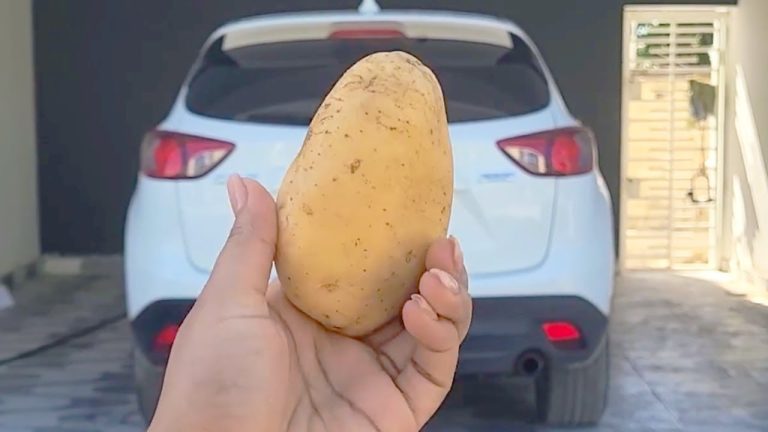 Why Keeping a Potato in Your Car Could Be a Lifesaver